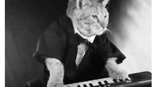 KEYBOARD CAT-new commercial in England!