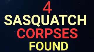 4 SASQUATCH CORPSES THAT DIED OF STARVATION FOUND