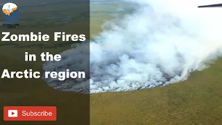 Zombie Fires in the Arctic region are becoming more frequent. #Climatechange #Globalwarming #Tundra