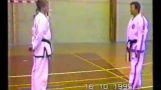 GTF Taekwon-do - GM Park Jung Tae breaks