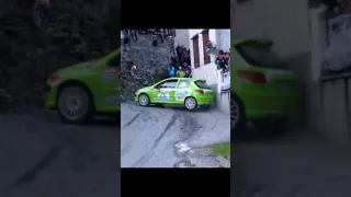 Peugeot 206 Rally #shorts