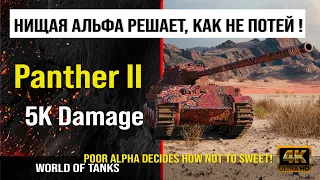 Реплей боя Panther II World of tanks 5K Damage | обзор panther 2 гайд | оборудование Пантера 2 броня