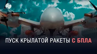 Новый успех турецкой оборонки: крылатая ракета с беспилотника