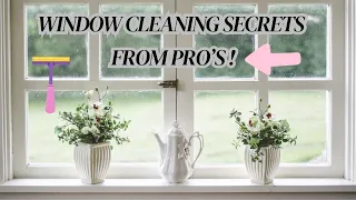 EPIC Cleaning Hacks: Spotless Windows for Super Lazy People!