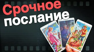 Самое Важное❗️Высшие Силы хотят Вас Уберечь...🌷♣️ таро прогноз ♥️ знаки судьбы