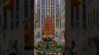 MANHATTAN, NEW YORK: Rockefeller Center Christmas Tree 2022 / NY, USA #shorts #4k