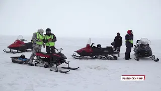 В Ярославской области прошел рейд по использованию снегоходов