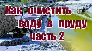 Как очистить воду в пруду (часть 2)