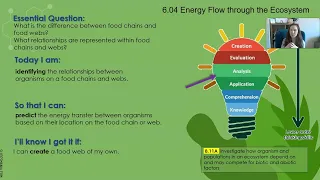 Lesson Introduction- Energy Flow in Ecosystems