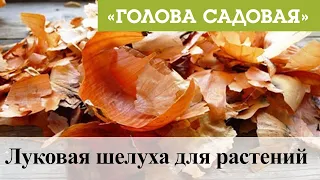 Голова садовая - Луковая шелуха для растений