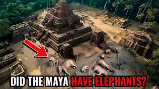 Did The Maya Really Use WAR Elephants?