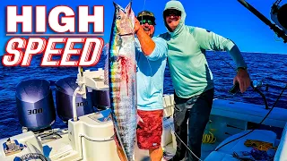 Fishing for one of the FASTEST FISH IN THE WORLD!