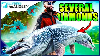 I Got 9 Diamonds on these MUST TRY Hotspots! - Call of the Wild theAngler