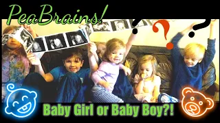 PeaBrains! Baby Girl or Baby Boy?