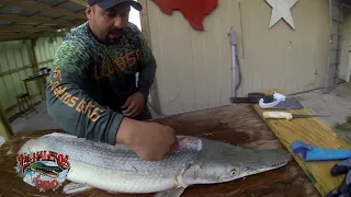 Cleaning alligator gar and not wasting anything