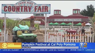 Popular Cal Poly Pumpkin Fest Returns After 2-Year Hiatus