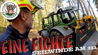 FarmVLOG#279 - Die eine Fichte muss weg