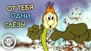 От тебя одни слезы. Мультфильм (1976)