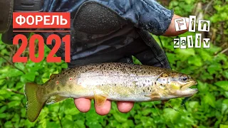 Рыбалка в Ленинградской области 2021 | Ультралайт | Ловля форели