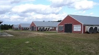 5890 Harmony Road, Preston, MD - Farm - www.sunsetproperties.net