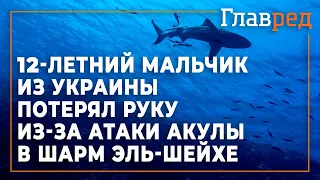 12-летний мальчик из Украины стал жертвой акулы в Шарм Эль-Шейхе