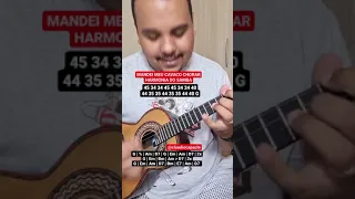 Mandei meu Cavaco Chorar - Harmonia do Samba | Cavaquinho | Claudio Capacle