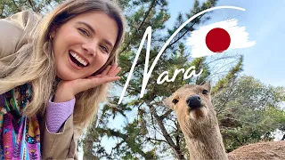 WHY NARA SHOULD BE ON YOUR JAPAN BUCKETLIST | Cute Deer, Amazing Temples + Traditional Japanese Food