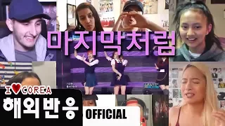 블랙핑크(Black Pink) - 마지막처럼/해외반응 Live stage reaction