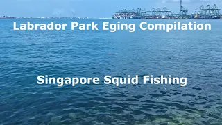 Eging Missions at Labrador Park Compilation