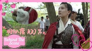 The Romance of Tiger and Rose 💗 BTS Clip：The funny moments of Zhao Lusi 💗 传闻中的陈芊芊