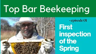 Top Bar Beekeeping for Beginners - Spring beehive Inspection