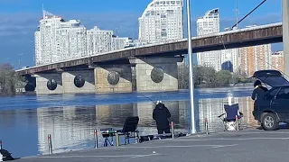 Шукаю рибаків в Оболонському районі.