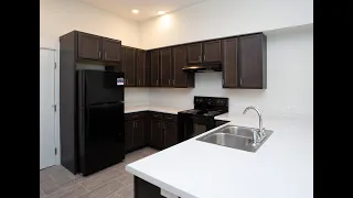 The Jordan at Mueller - 1 Bedroom, 1 Bathroom Apartment Home