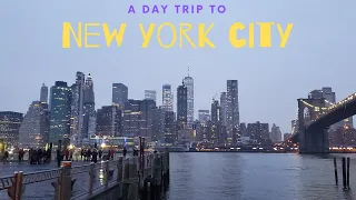 Vlog#8 | A Day Trip To NYC| Times Square | Brooklyn Bridge | Biryani |