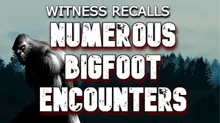 WITNESS RECALLS NUMEROUS BIGFOOT ENCOUNTERS!