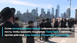 В Нью-Йорке прошла акция ортодоксальных евреев против Израиля