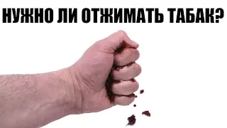 Нужно ли отжимать табак?