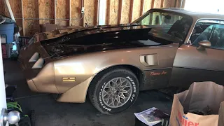 1980 trans am 7.4 V8 cold start