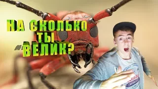 РАЗМЕРЫ КОТОРЫЕ ВЫ НЕ СМОЖЕТЕ ПРЕДСТАВИТЬ! [2/2]