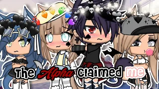 The Alpha Claimed Me🐺🔒 || GLMM || Gacha Life Mini Movie ||