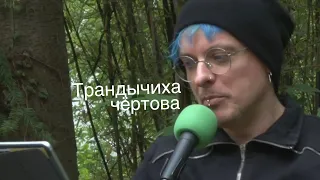 Дельфинов - Трандычиха чёртова