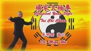 Classical Yang Style Tai Chi Chuan - Back View (Part 1)