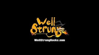 Well Strung - Bucks County’s Favorite Classic Rock & Party Band