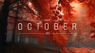 Best of October  - 2023 | Wave, Future Garage, Chillstep | 1 hour