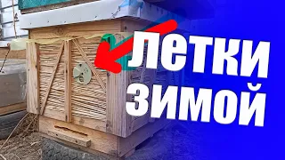 Какие летки открывать или закрывать в ульях зимой? Как зимовать без сырости в улье