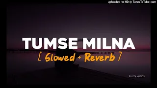 Tumse Milna | Slowed & Reverb | Udit Narayan | Pujita Musics