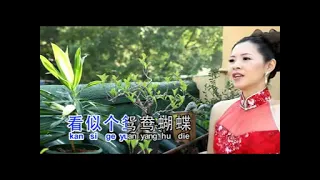 Cheng Hui Wen 程慧雯 - 新鴛鴦蝴蝶夢 Xin Yuan Yang Hu Die Meng