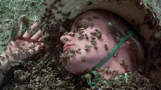 Cinematic Atrocity: The Swarm (1978) (the infamous 2.5 hour killer bee movie)