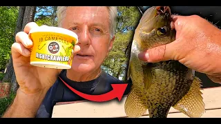 A Fishing Bait that will Catch Crappie, Bluegill, Shellcracker and Bass ! ! !