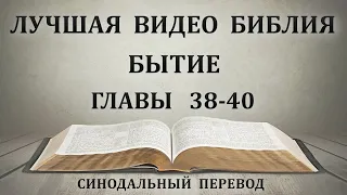 Лучшая Видео Библия. Чтение Бытие. Главы 38-40. Синодальный перевод